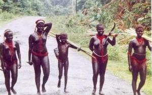 Sentinelese tribe