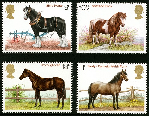 horses