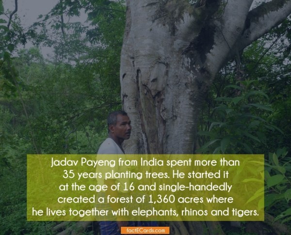 Jadav-Payeng-from-India-spent-2505