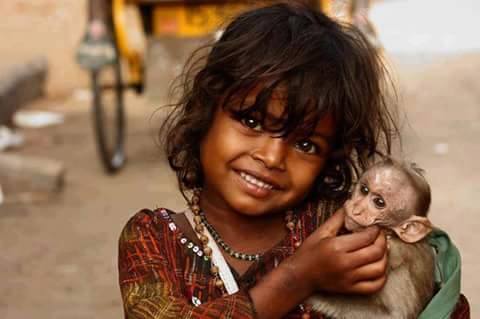 animal love, kurangu