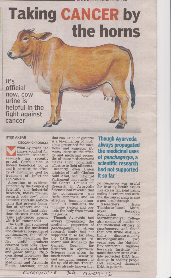 Cow-Urine-Article