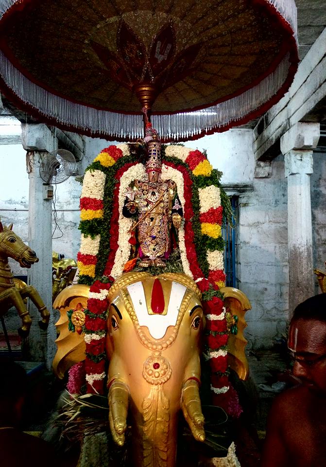 தங்க யானை நாமம், குடை