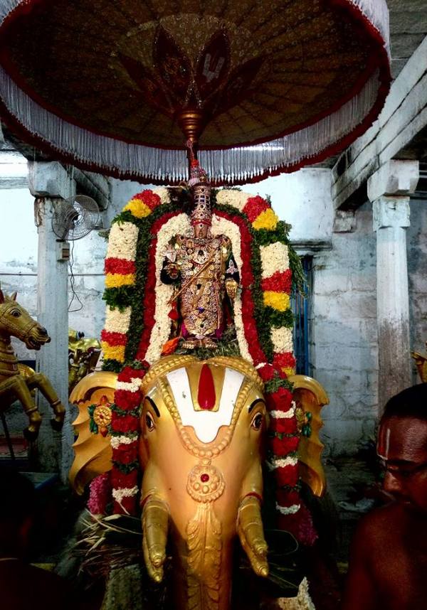 தங்க யானை நாமம், குடை