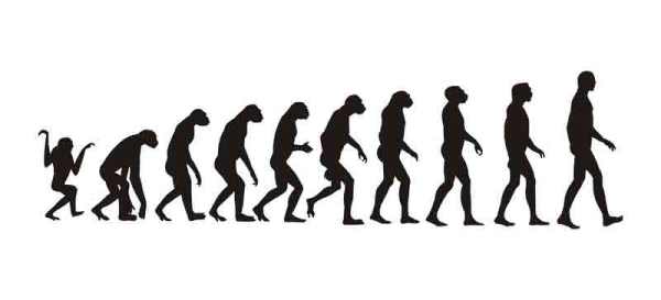 evolution