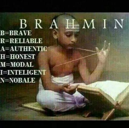 definition of brahmin