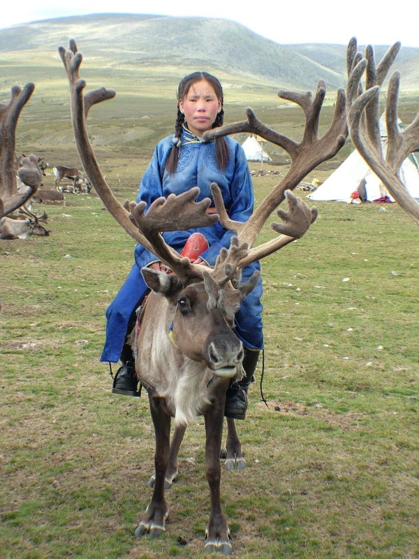 Mongolia girl riding reindeer