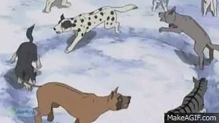 dogs-circle