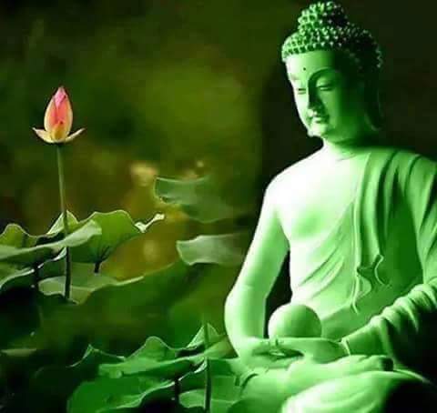 buddha-lotus
