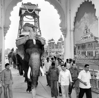 mysbrhi-w157_ar_20_1243406e